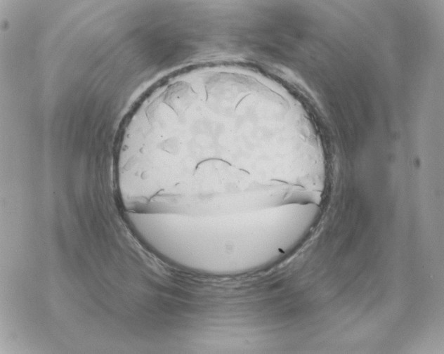 X0000070361220200607072055