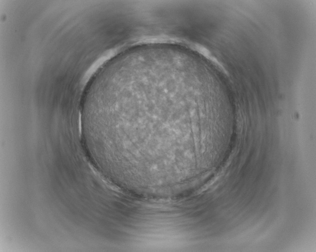 X0000070361221200607072055