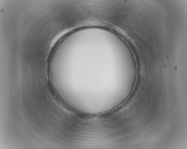 X0000070361222200607072055