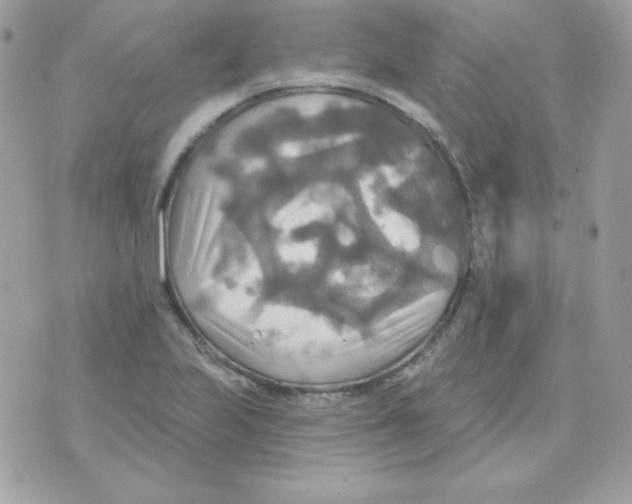 X0000070361223200607072055