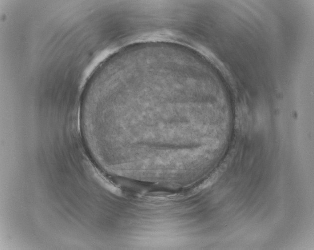 X0000070361224200607072055