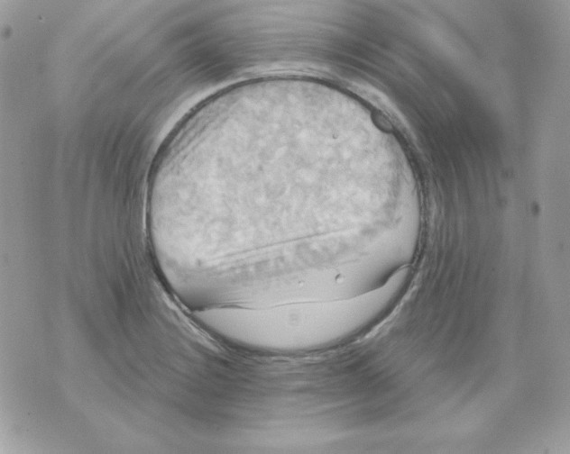 X0000070361228200607072055