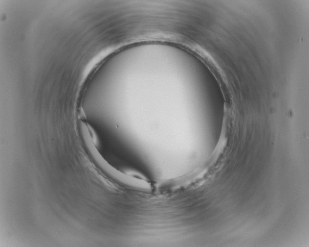 X0000070361230200607072055