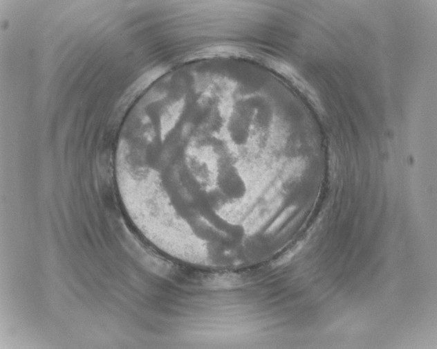 X0000070361233200607072055