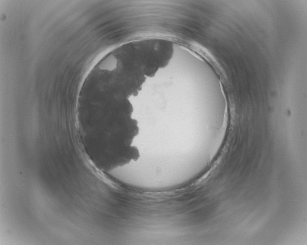 X0000070361236200607072055