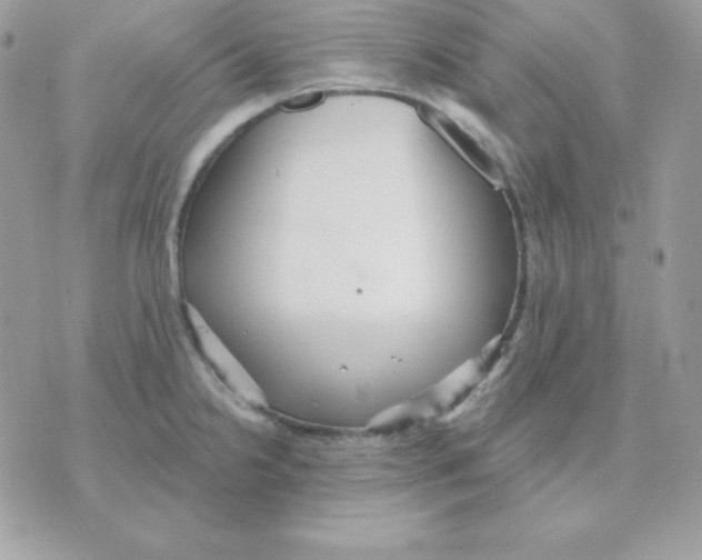 X0000070361238200607072055