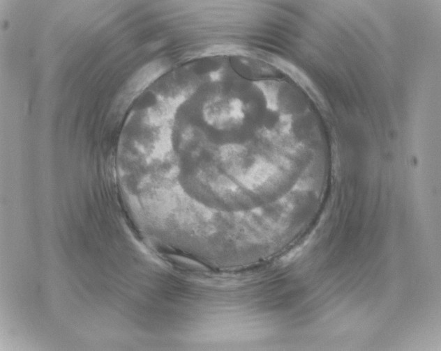 X0000070361241200607072055