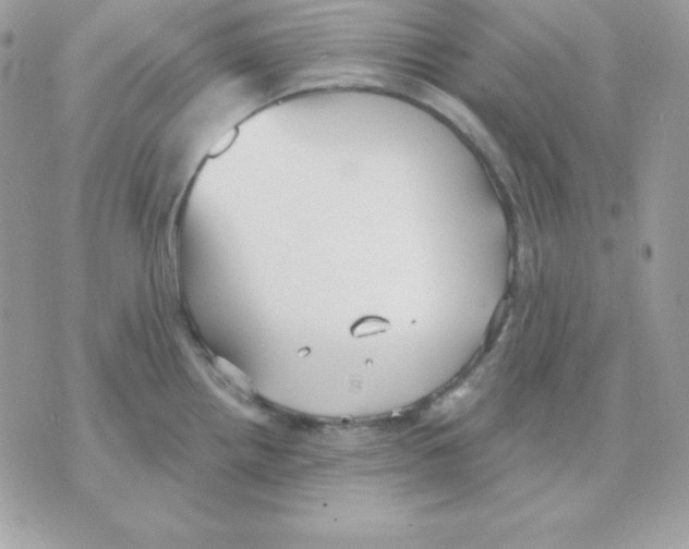 X0000070361242200607072055