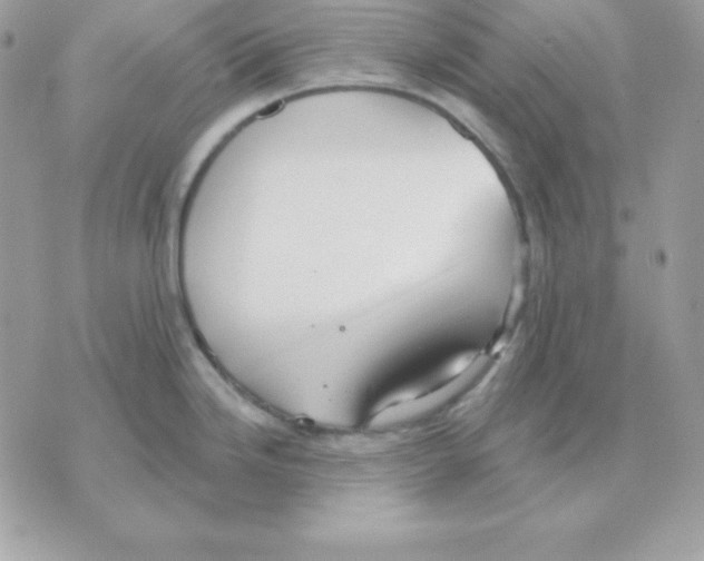 X0000070361246200607072055