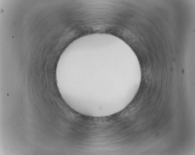 X0000070361249200607072054