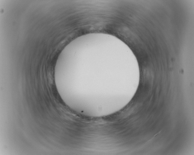 X0000070361250200607072054