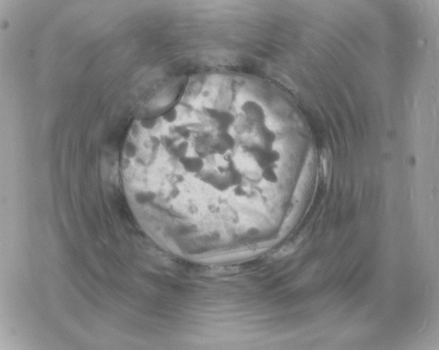 X0000070361251200607072054