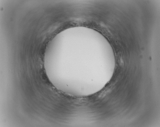 X0000070361253200607072054