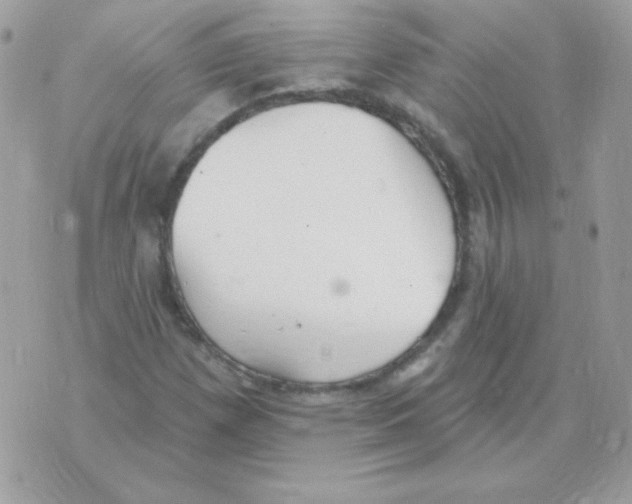 X0000070361257200607072054