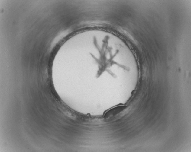 X0000070361261200607072054