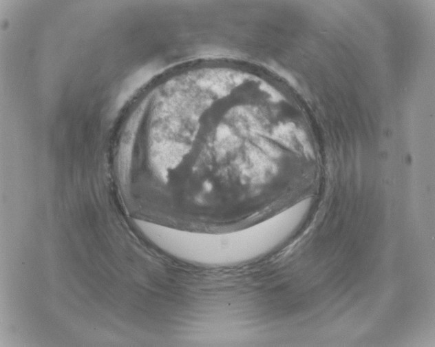 X0000070361263200607072054