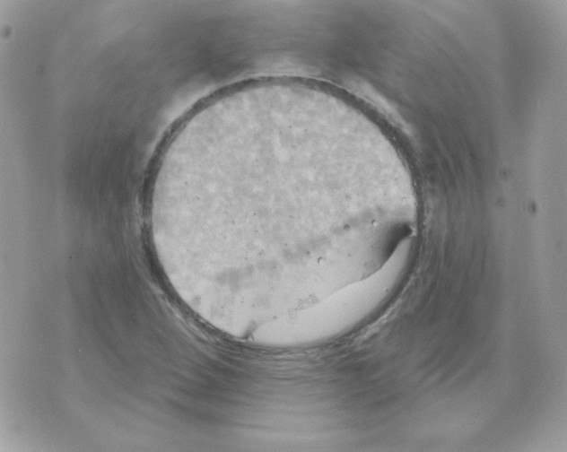 X0000070361264200607072054