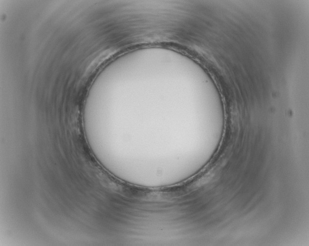 X0000070361265200607072054