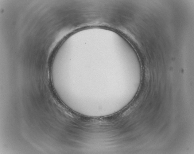 X0000070361270200607072054