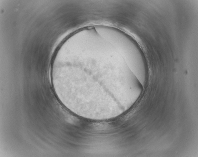 X0000070361272200607072054