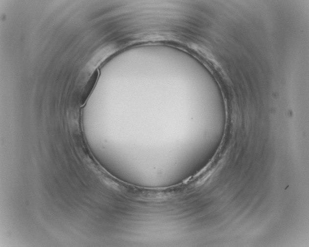 X0000070361273200607072054