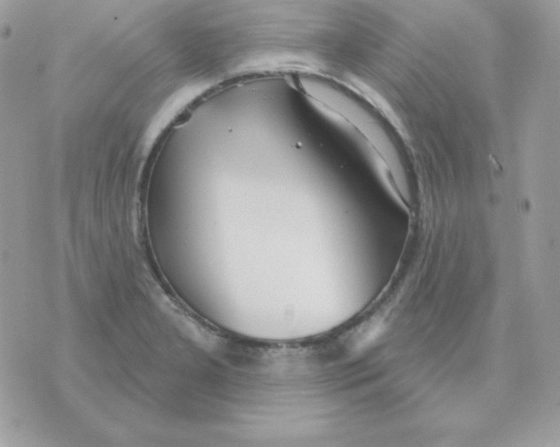 X0000070361277200607072054