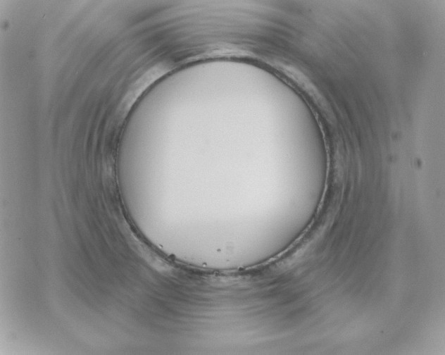 X0000070361281200607072054