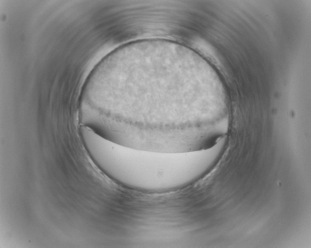 X0000070361284200607072054