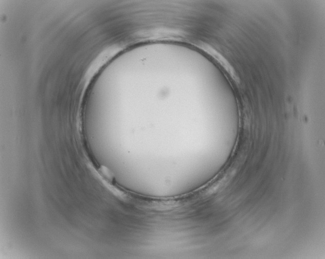 X0000070361285200607072054