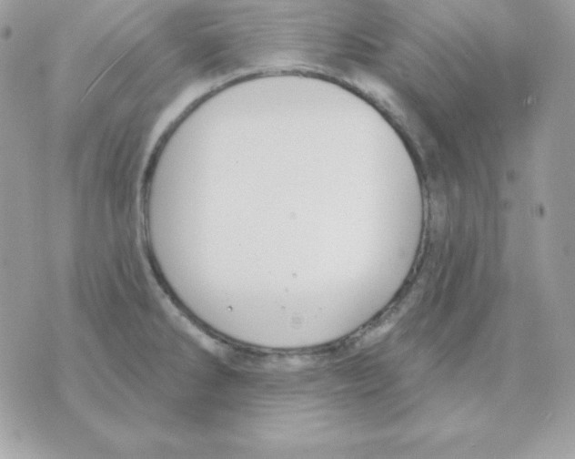 X0000070361286200607072054