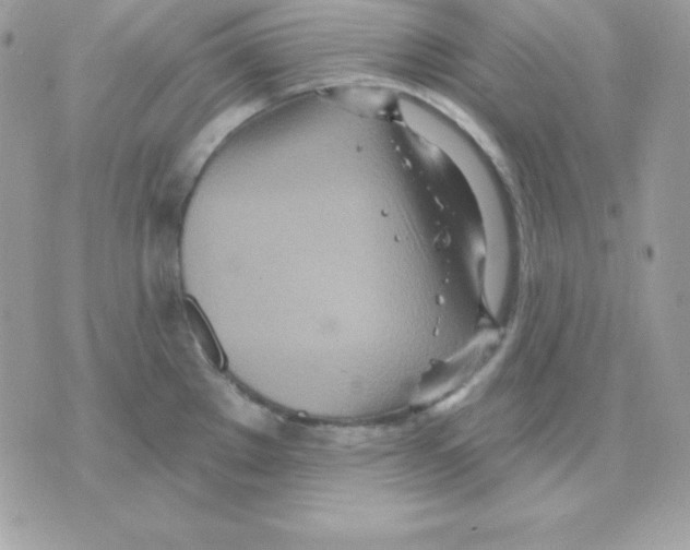 X0000070361289200607072054