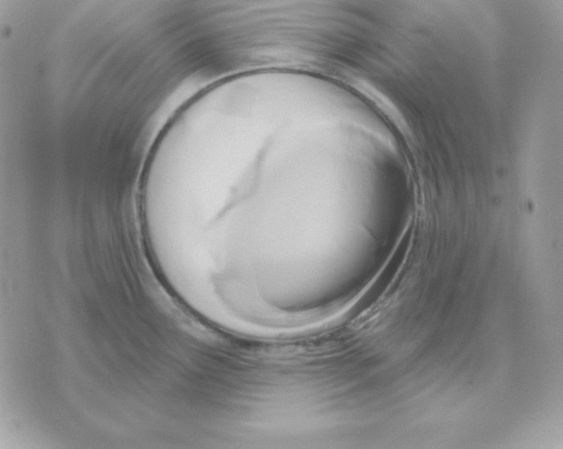 X0000070361291200607072054