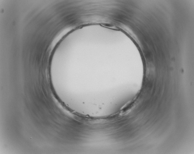 X0000070361293200607072054