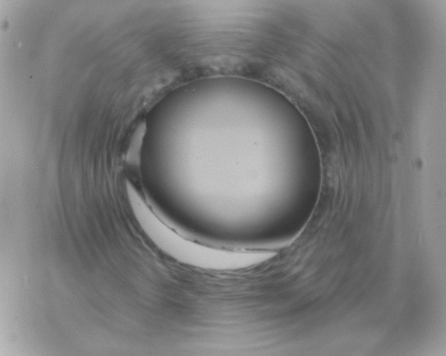 X0000070361298200607072053