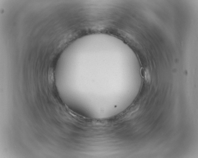 X0000070361299200607072053