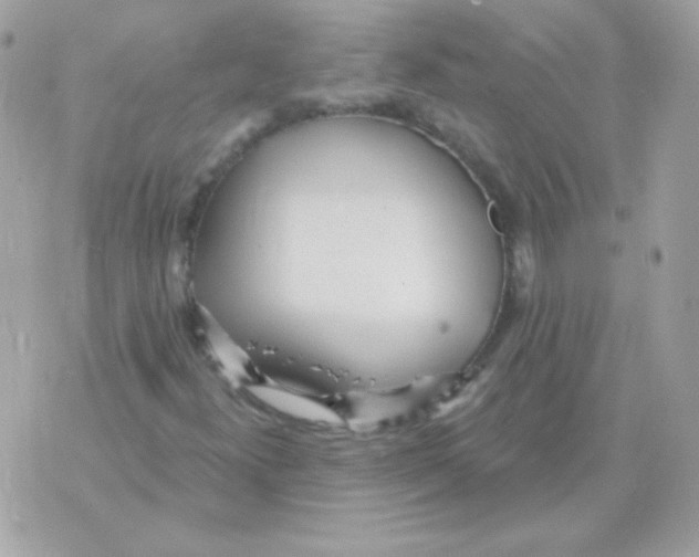 X0000070361300200607072053