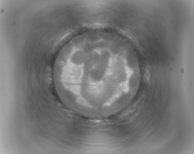 X0000070361301200607072053