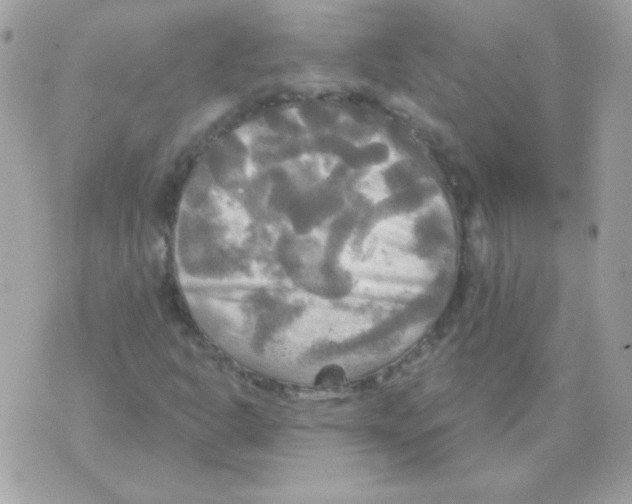 X0000070361302200607072053