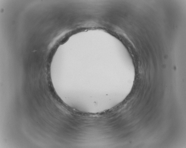 X0000070361304200607072053