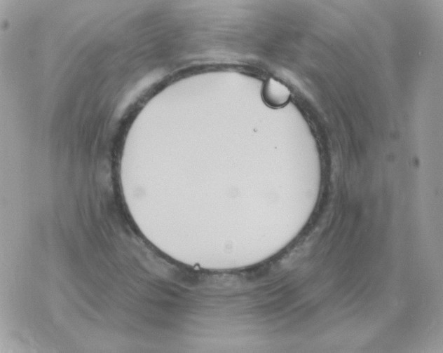 X0000070361307200607072053