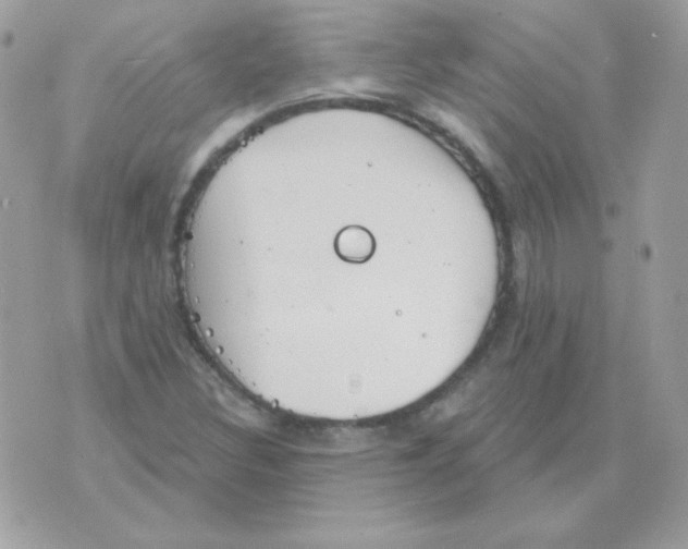 X0000070361308200607072053