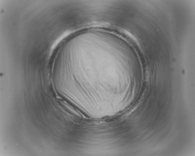 X0000070361310200607072053