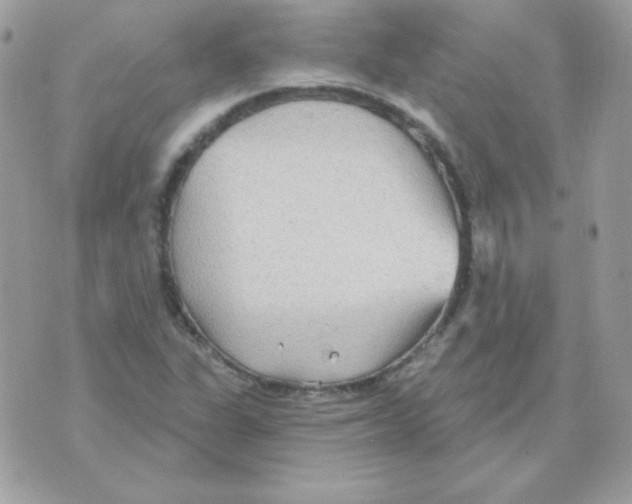 X0000070361311200607072053