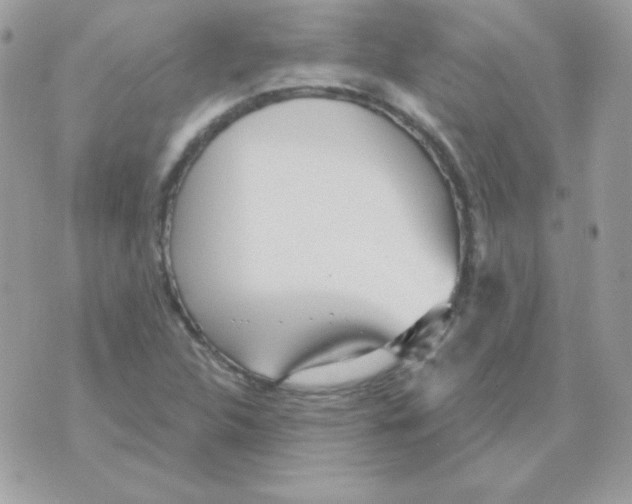 X0000070361312200607072053