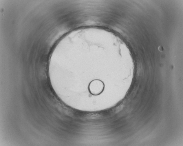 X0000070361314200607072053