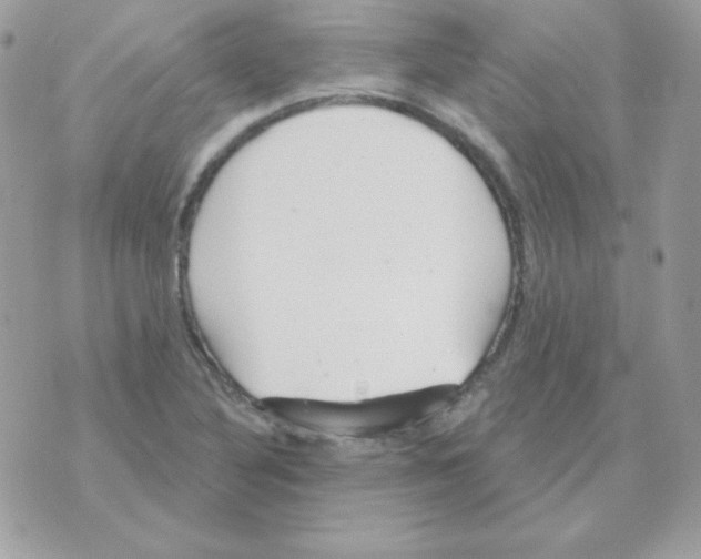 X0000070361316200607072053