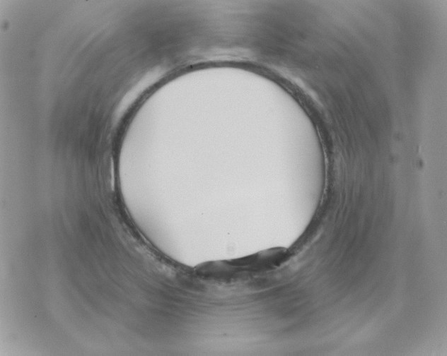 X0000070361317200607072053