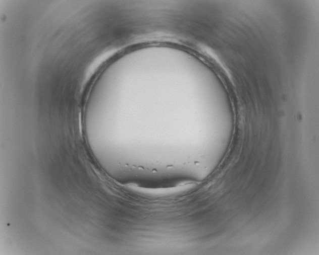 X0000070361320200607072053