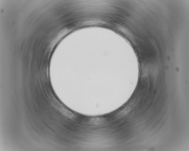 X0000070361322200607072053