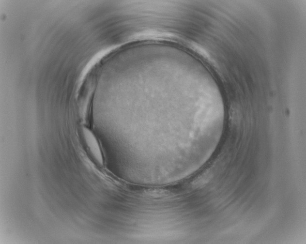 X0000070361323200607072053